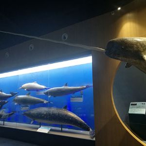 <img src=upfile/images/2020/08/08/small3_15968487336270246.jpg height=150>