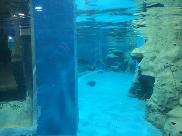 水族館設計建設工程