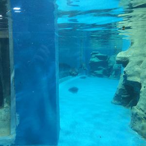 <img src=upfile/images/2020/08/28/small3_15985765516581709.jpg height=150>