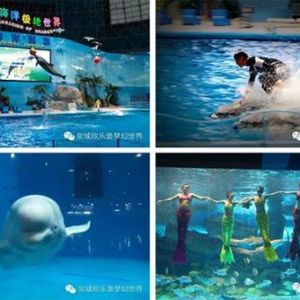 <img src=upfile/images/2021/06/26/small3_16246894817095182.jpg height=150>