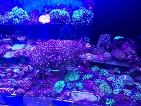 山東沙缸過濾器廠家