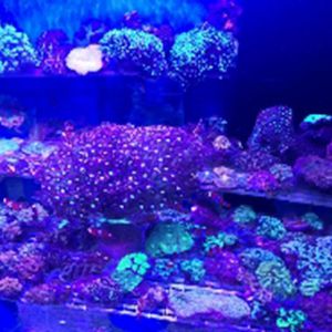 <img src=upfile/images/2022/03/16/small3_16474253472234556.jpg height=150>