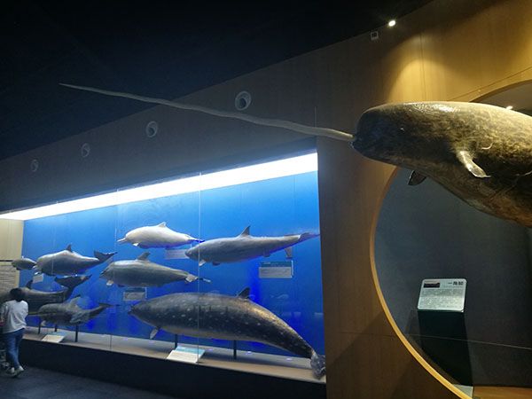 山東沙缸過(guò)濾器廠家