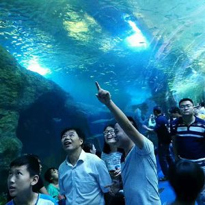 <img src=upfile/images/2022/06/23/small3_16559551838999800.jpg height=150>